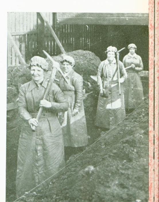 Female workers digging at BritishAluminium