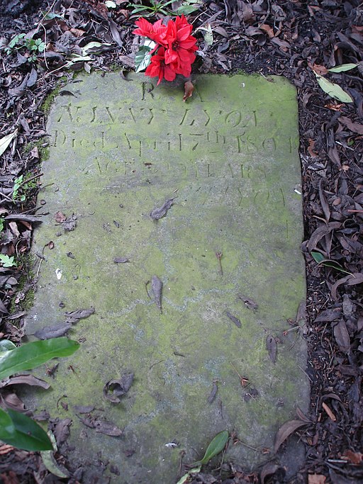 George Lyon Grave CC by SA